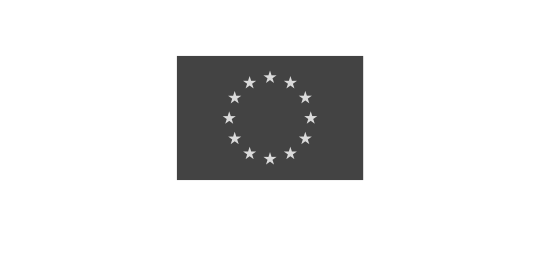 Union Européenne