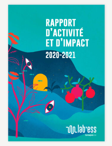 Rapport d'activité et d'impact Lab'ess